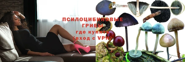 бутират Инта