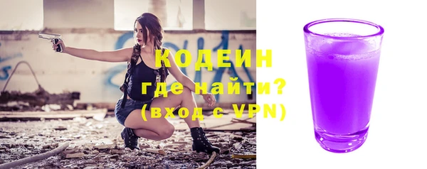 шишки Инсар