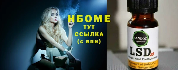 шишки Инсар
