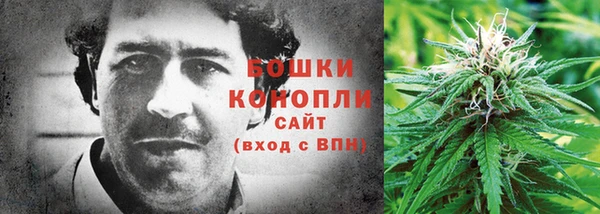 шишки Инсар