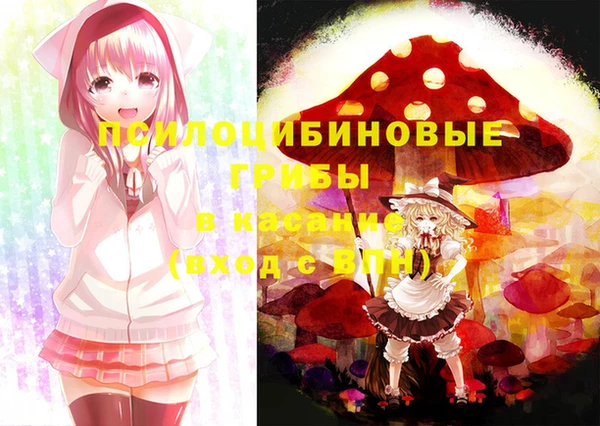 шишки Инсар