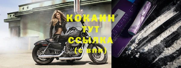бутират Инта