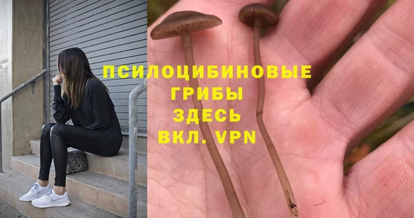 бутират Инта