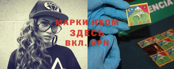 шишки Инсар